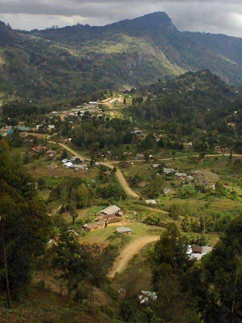 Hillside village on the coast road
