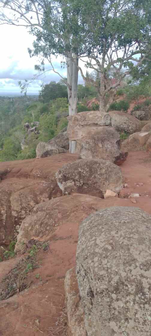 Rocky viewpoint above the canyon