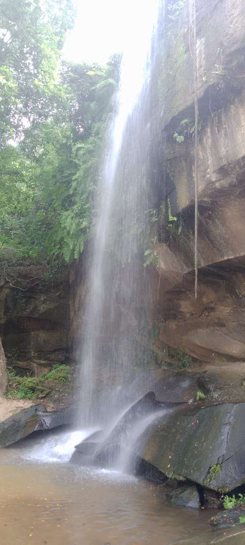 Sheldrick Falls inside Shimba Hills forest