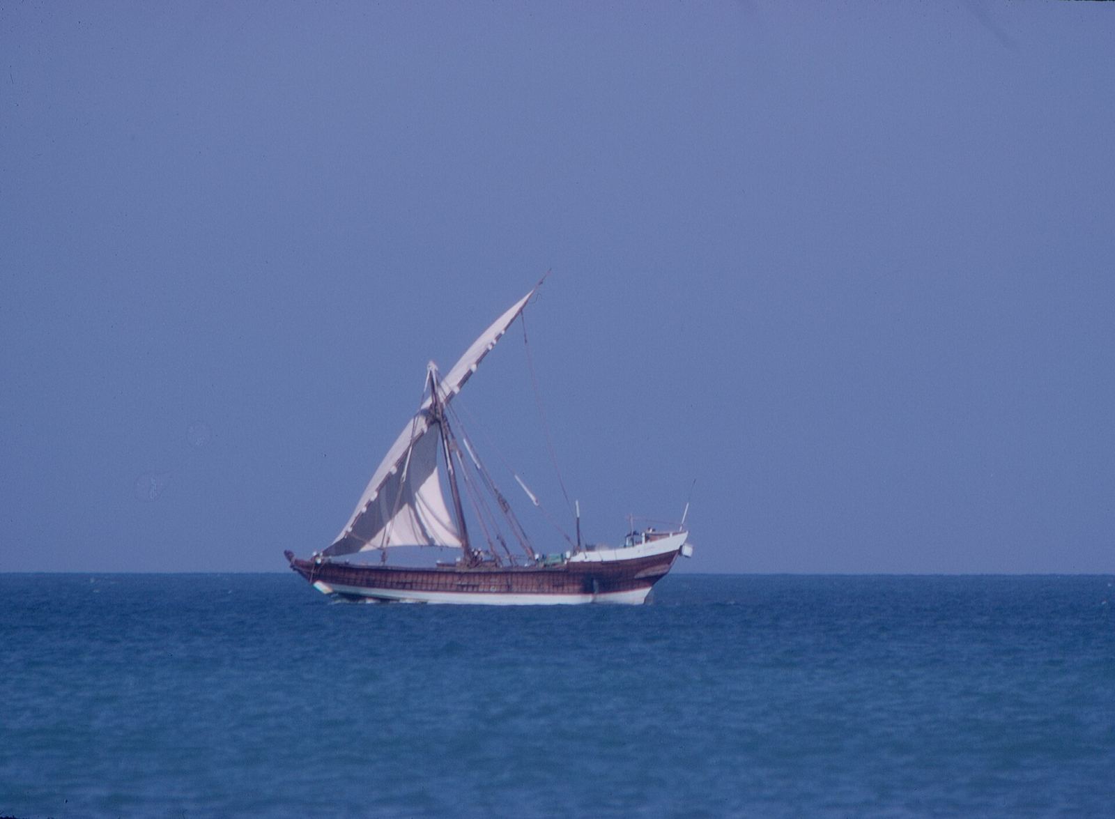 Traditional dhow sailing to Wasini Island past dolphins