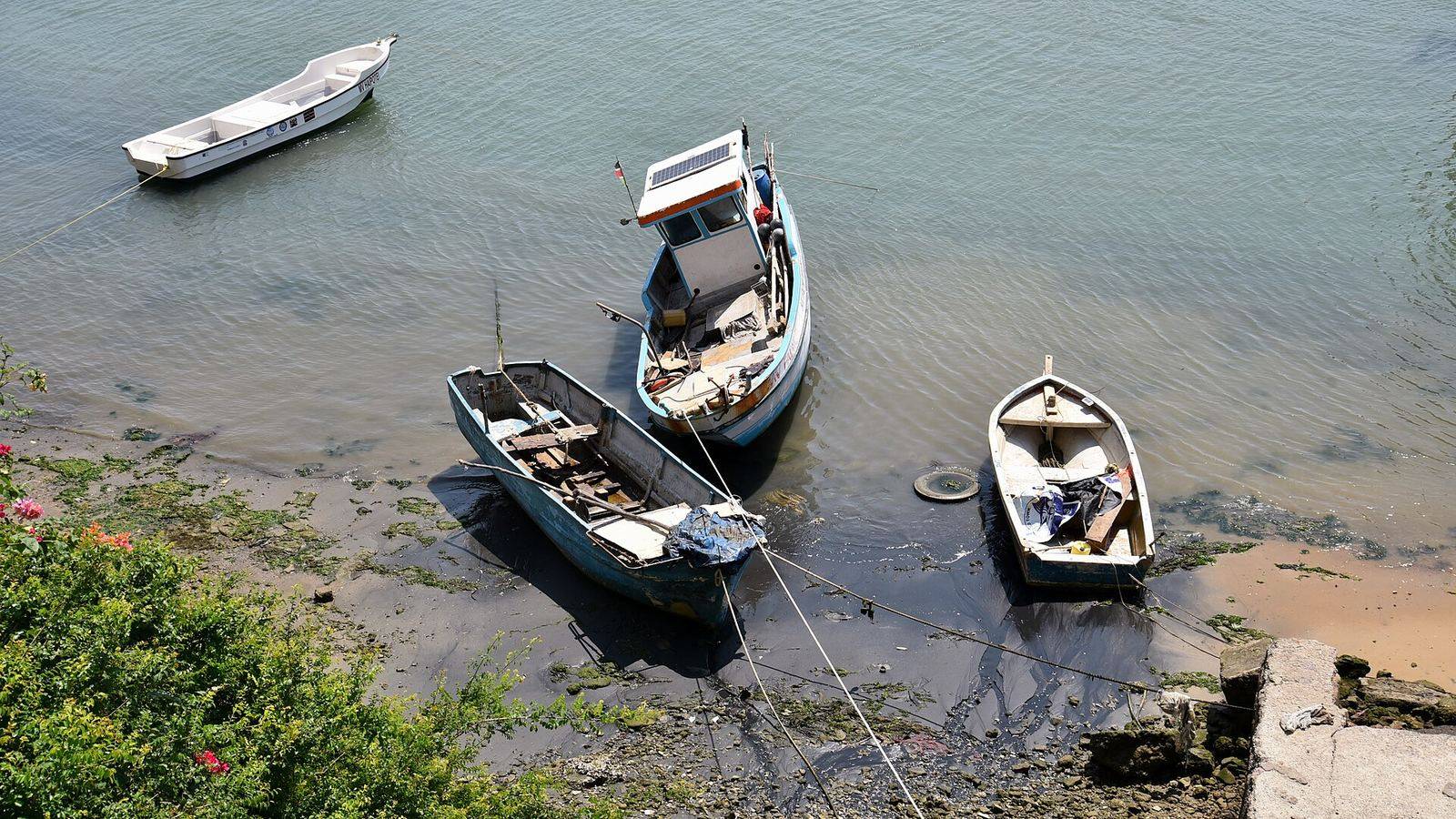 Glass-bottom boat over the coral gardens