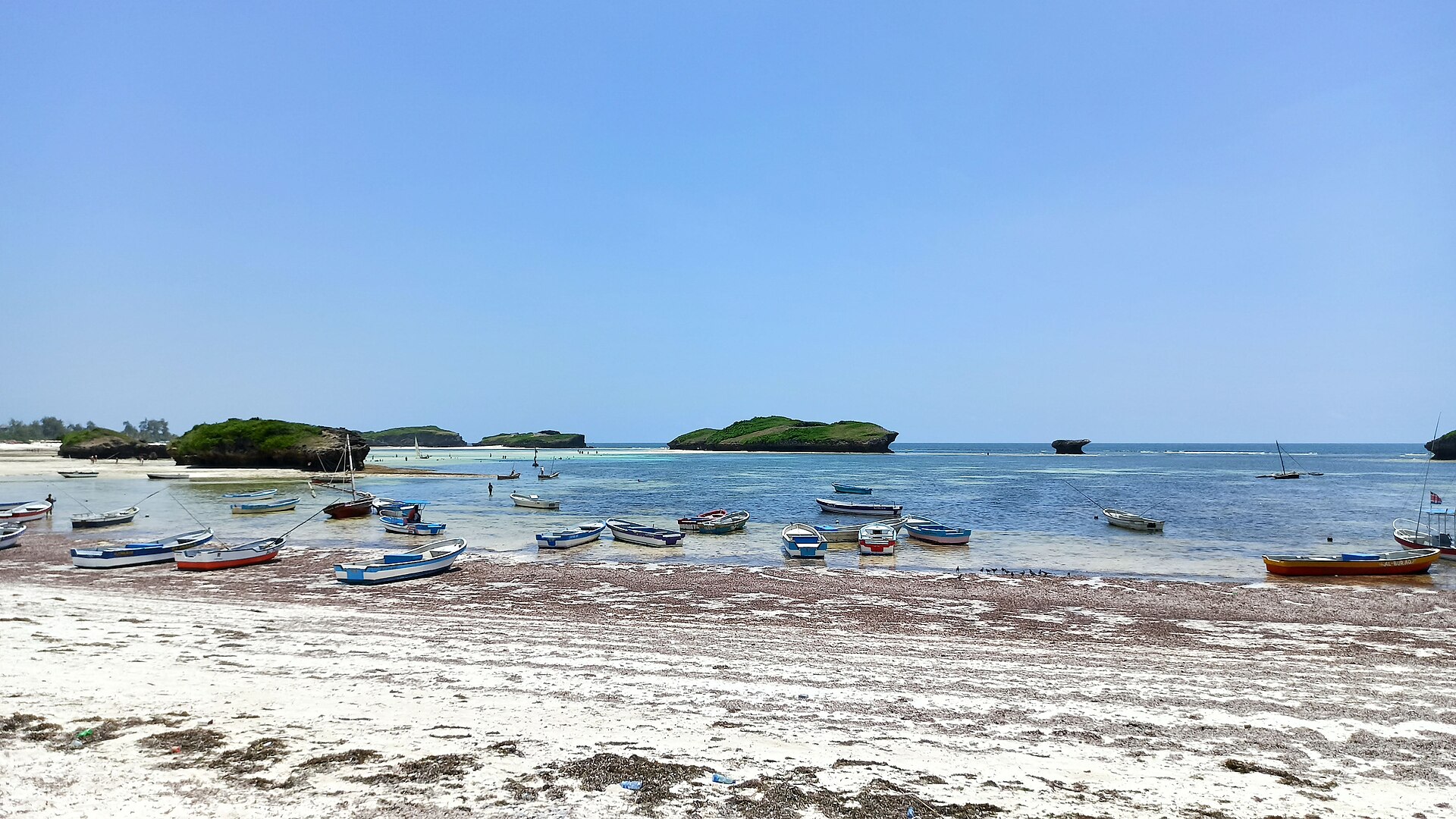 Watamu coral gardens and turtle bay